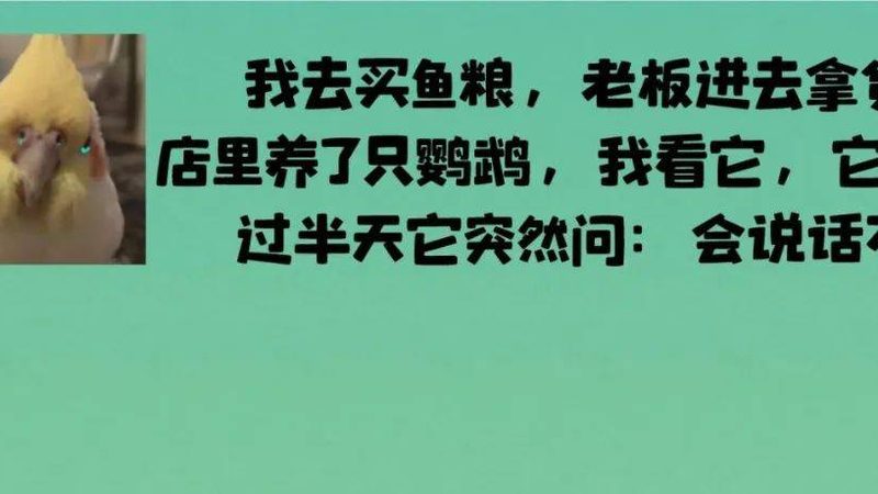 食品代工价格背后的关键因素解析**